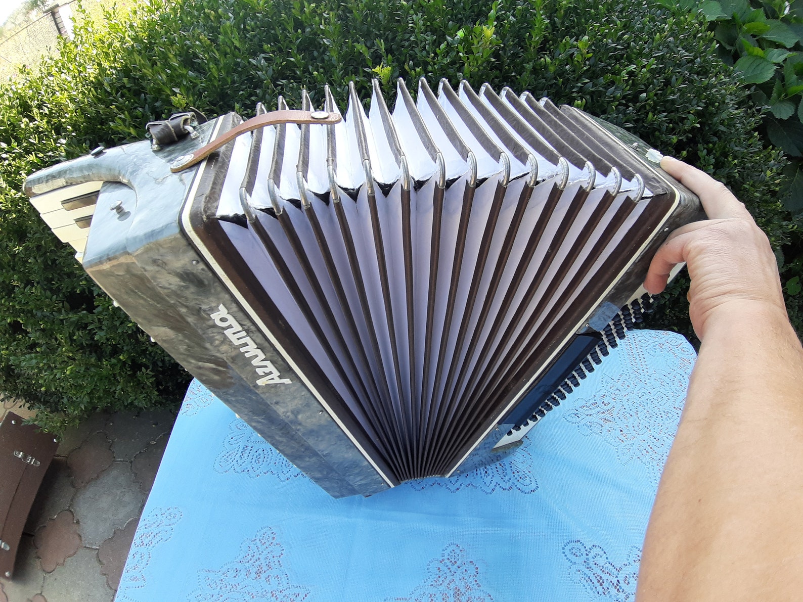 Russian Accordion AELITA 96 bass Vintage USSR Accordion Etsy