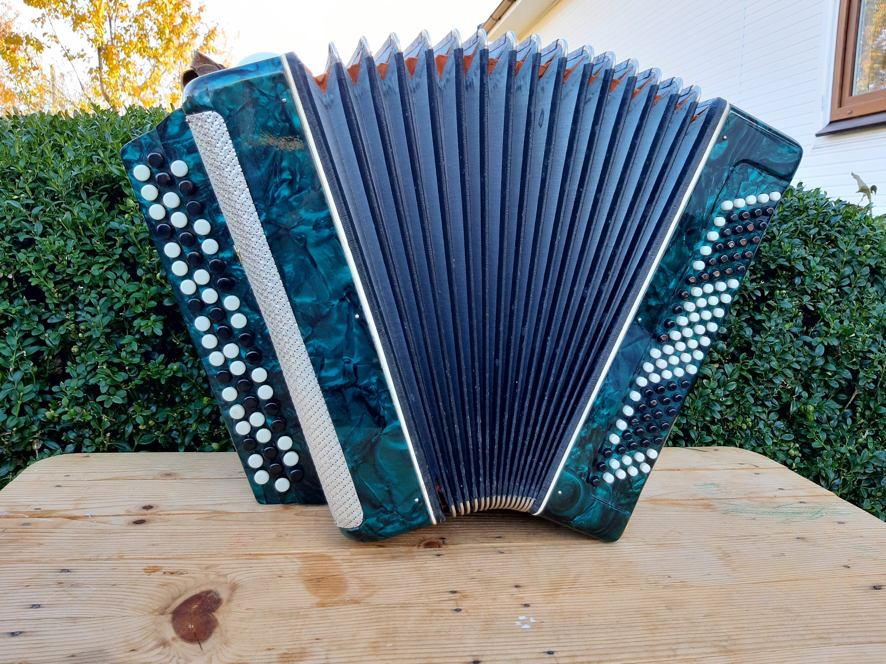 Ukraine Garmon Button Accordion Harmonica Made in Ukraine Etsy