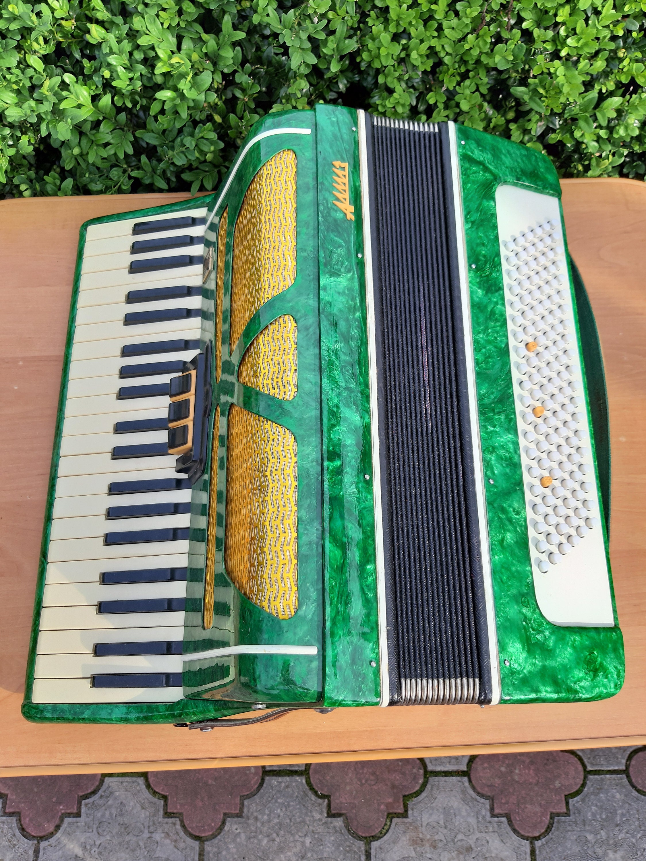 Ukraine Accordion ALMAZ 120 Bass Made in Ukraine Accordion Etsy