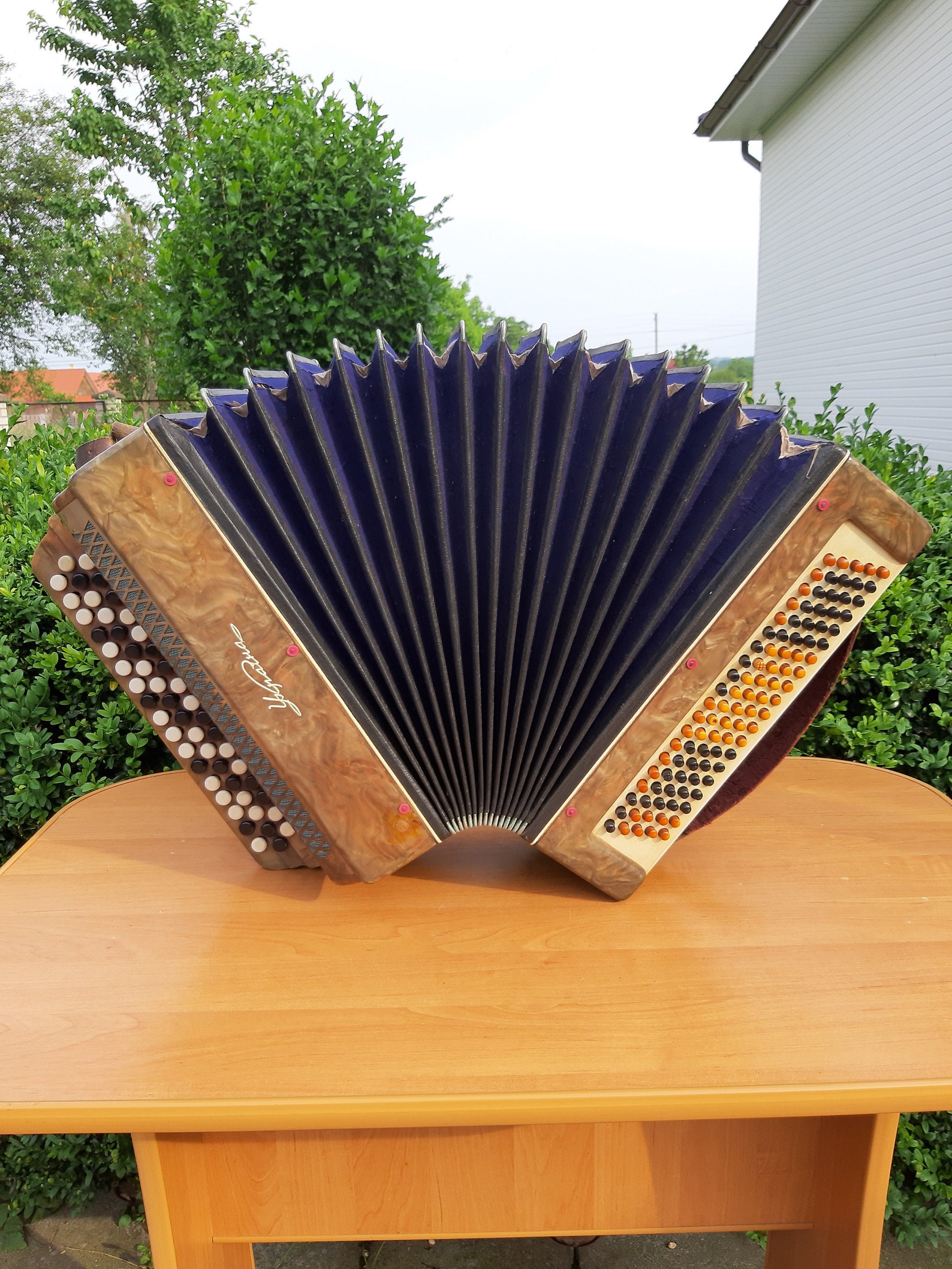 Soviet Ukraine Garmon Button Accordion Harmonica USSR Etsy