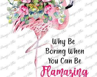 Warum langweilig sein, wenn Sie flamazing sein können , Digital Image Instant Download, PNG, Sublimation Grafiken - 55119 W