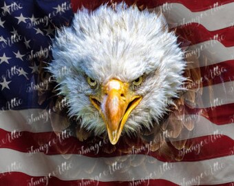 Amerikanische Flagge und Adler - Digital Image Instant Download, PNG, Sublimation Grafiken - 73324