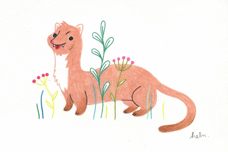 The weasel