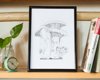 Illustration "Family of mushrooms" (A4)