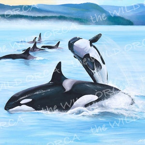 Hope - Limited Edition Orca Art Print