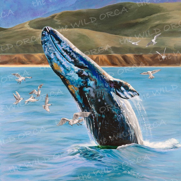 Gray Whale Breach - Limited Edition Art Print