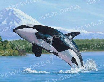 Mt. Baker - Limited Edition Orca Art Print