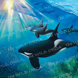 Orca Herring Chase - Limited Edition Art Print
