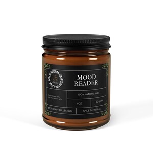 Mood Reader Spice & Fireplace Cozy Bougie de soja rat de bibliothèque
