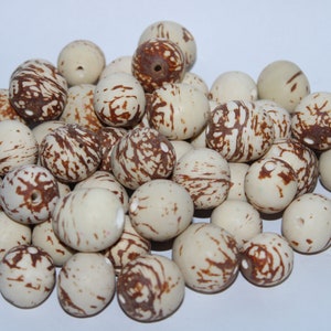 Bombona Balls. 30 Pure Bombona Balls, Seeds Unpainted. Size, 2 - 2.5 cm. approx. Top Drilled. Eco, Vegan, Natural Jewelry Making Supplies
