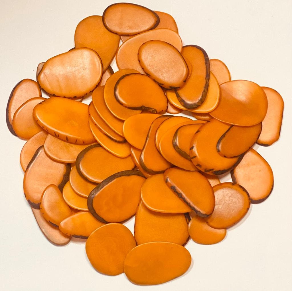 Tagua Beads 20 orange tagua slices from Colombia Size: 2x2 cm. approx. Seed Beads Jewelry Drilled or Undrilled Eco Ethical Sustainable