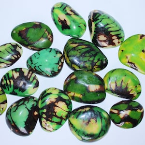 Mix Green Tagua Oval Beads. Natural Seed from Colombia Rainforest. 15 Beads 4 x 2 cm. Approx. Top Drilled. Natural Jewelry Making.