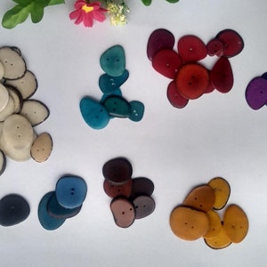 59 Tagua multicolored slices beads. 1.5- 3 cm x 2 cm. Two hole in the middle. Nature Pearls beads thin slices. Jewelry Making. R. 1006