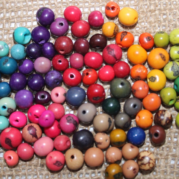 Rocailles d'açai multicolores de Colombie | Taille : 6 x 6 mm. | 160 perles d'açai en 8 couleurs | Perles naturelles pour la fabrication de bijoux | Bijoux durables