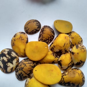 Yellow Tagua Oval Beads. Natural Seed from Colombia Rainforest. 15 Beads 4 x 3.cm. Top Drilled. Natural Jewelry Making. Free Shipping R.1035