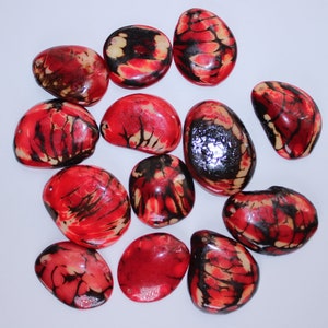 Red Tagua Oval Beads. Natural Seed from Colombia Rainforest. 15 Beads 4 x 3 cm. Approx. Top Drilled. Natural Jewelry Making.