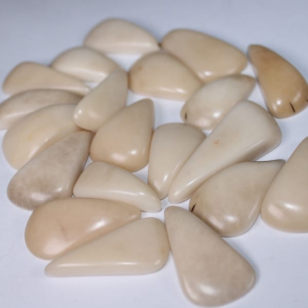 Tagua Teardrop en Beige. Des tailles différentes. Noix d'ivoire végétal. triangulaire | Forme triangulaire. 15 Pièces. Percé ou non percé. Bijoux Fournitures