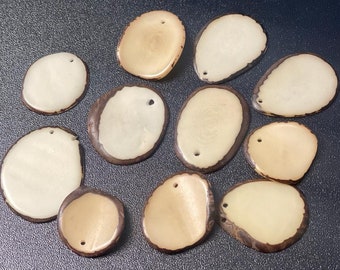 Mini rebanadas de tagua con cuentas de semillas (20 cuentas) / Nuez de marfil vegetal con perforaciones en la parte superior. Tamaño: 2 x 2 cm. Suministros de joyería natural. Cuentas ecológicas y sostenibles.