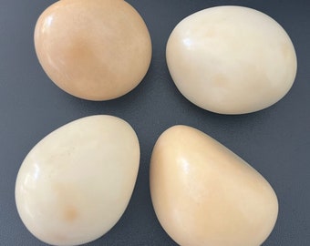 Tagua Whole Nut Polished Uncut. Tagua Vegetable Ivory Nut from Colombia. 5 Pieces. Size: 4 x 3 cm. approx. Undrilled. Natural Jewelry Making