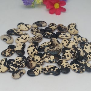Rocailles. 50 stukken met Dalmatisch patroon.