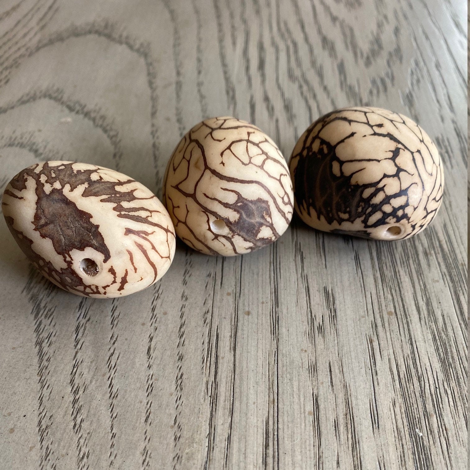 アイボリーナッツ貝台座 楽天市場】シェル さざれ ビーズ 白 茶 貝 海 夏 マリン 10g sb-344