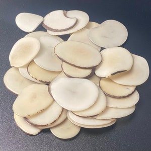 Puede incluir: Un montón de semillas naturales, ovaladas, pulidas, de color marfil con un borde marrón.