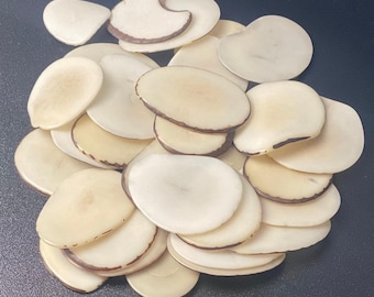 Tagua Beads Natural 20 Beige Tagua Slices, Beads, Chips from Colombia. 3x2.5 cm. approx. Drilled or Undrilled Ethical Sustainable Jewelry