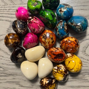 Tagua Nut. 2 x 1.5 Inches. Multicolor Beads of for Carcing Woodwork Jewelry Making. 21 Pieces in Assorted Colors. Top drilled. Eco Beads