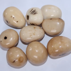 Tagua Whole Nut Tagua Covered with Eco-Resin. 5 Pieces. Small Size: 35 x 25 mm. approx. Undrilled. Sustainable Jewelry making supplies