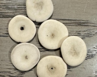 Bombona Seed Discs in Beige. 50 Round Beads Center drilled. Pure and Unprocessed Bombona Seed.  2 cm. approx. Eco Jewelry Making Supplies