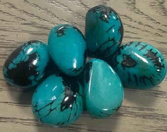 Tagua Nut Blue/Teal | 5 Whole Seed Beads Top Drilled 4x3cm. approx. TWBlue01D