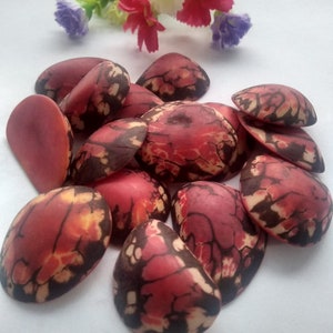 Tagua Half Nut Beads. 15 Red Pieces