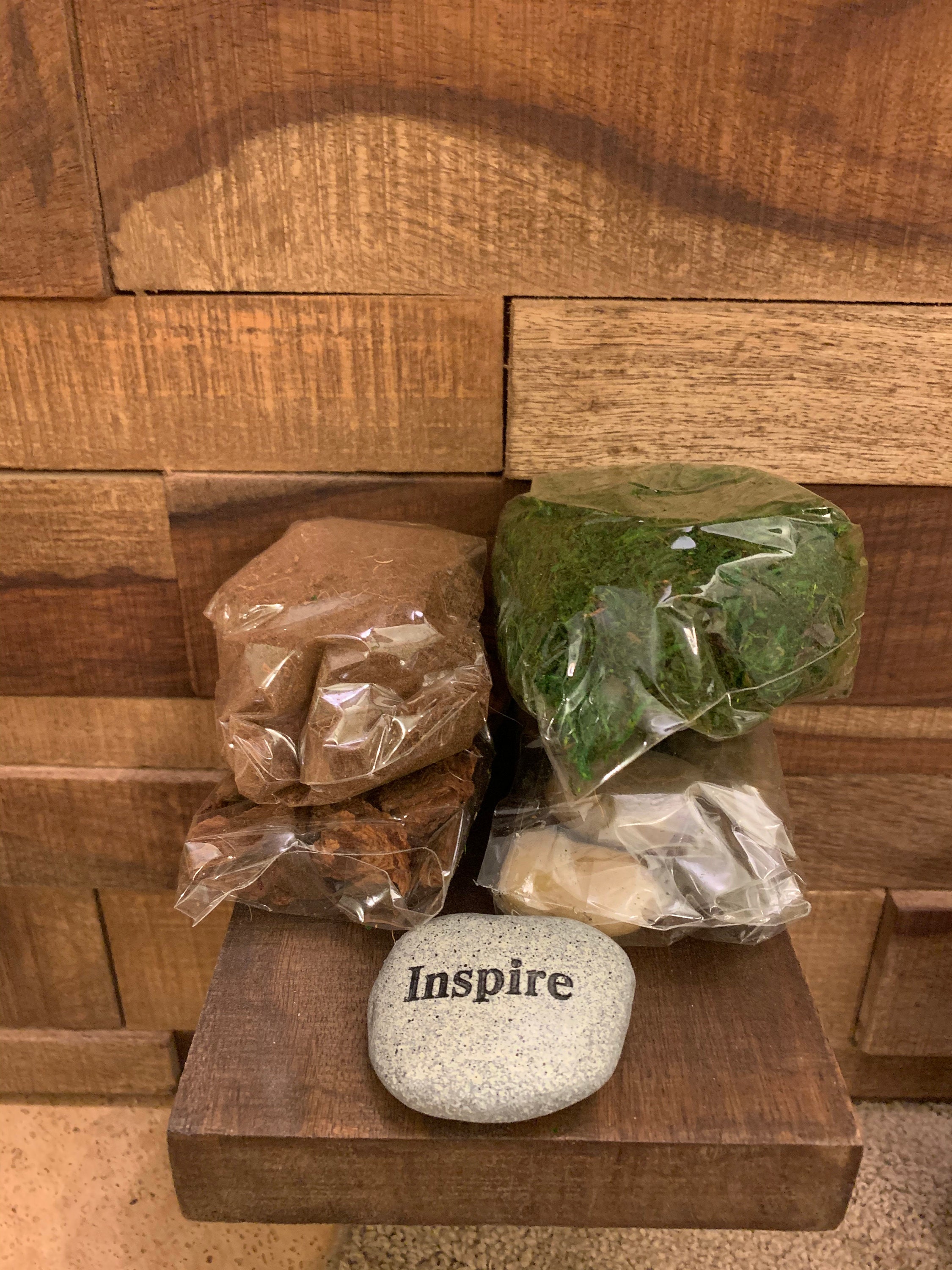 DIY Terrarium Portland con roca de jardín Etsy