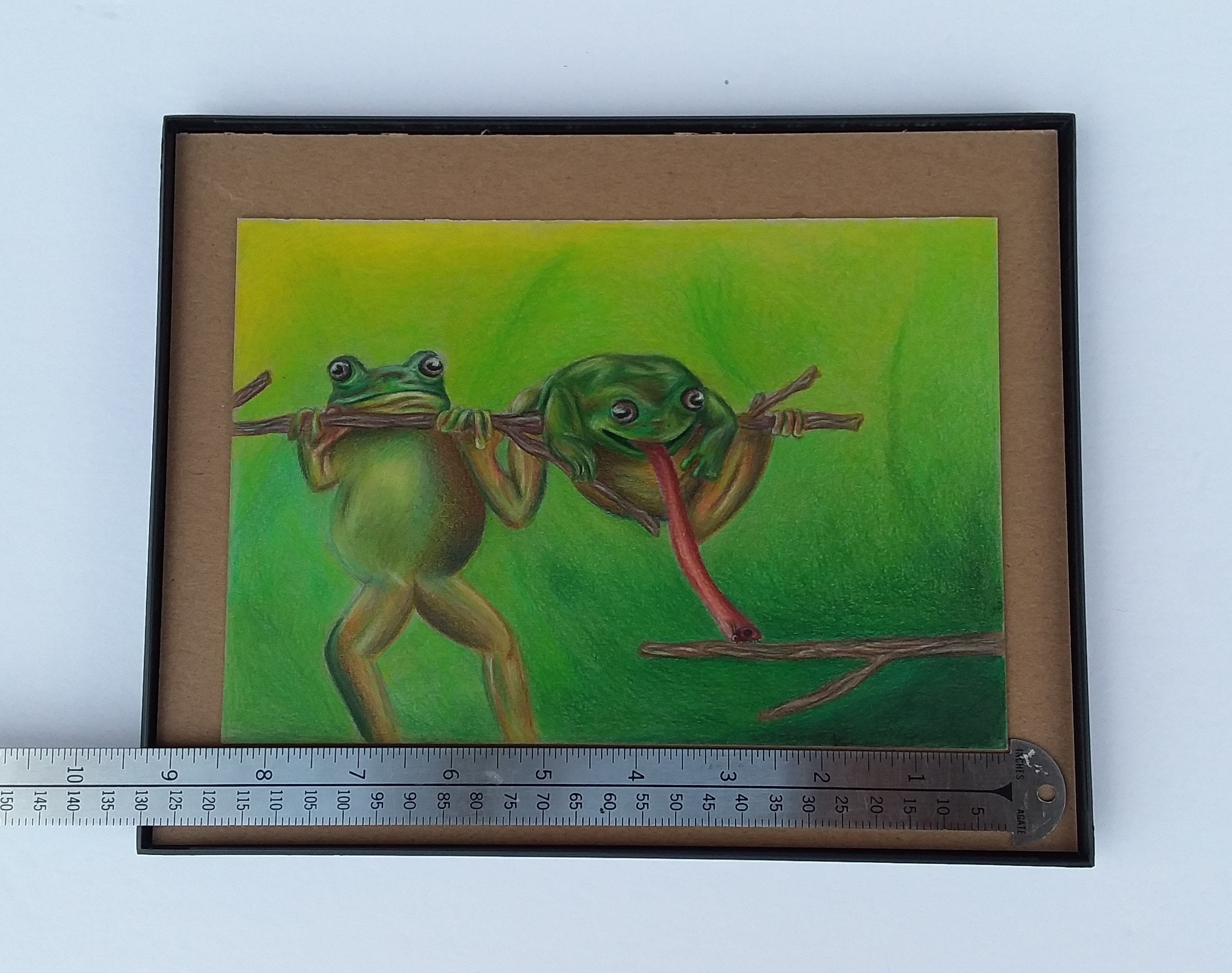 Original Frog Colored Pencil Drawing Colored Pencil Frog Etsy