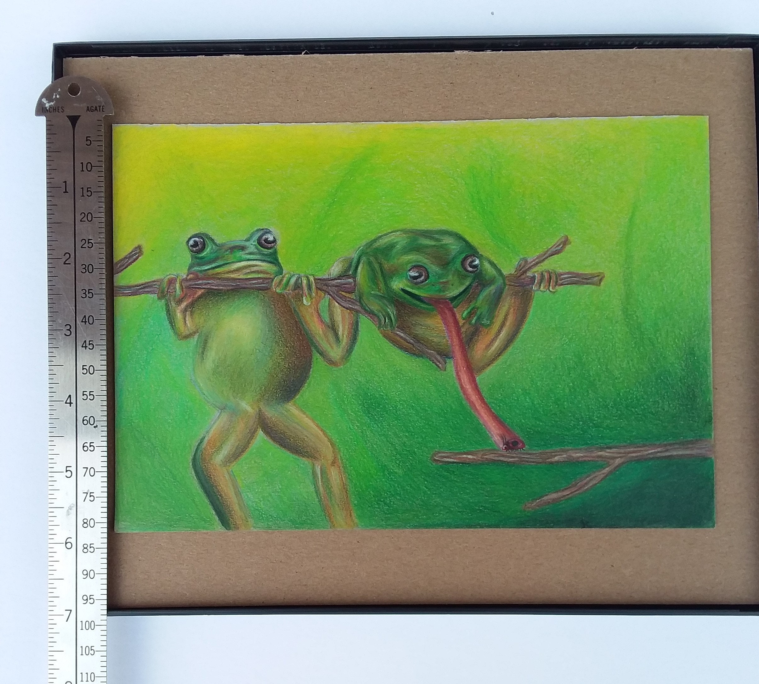 Original Frog Colored Pencil Drawing Colored Pencil Frog Etsy