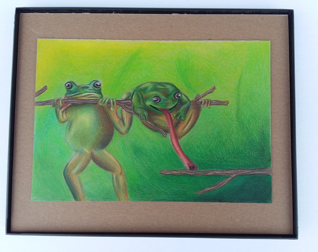 Original Frog Colored Pencil Drawing Colored Pencil Frog Etsy