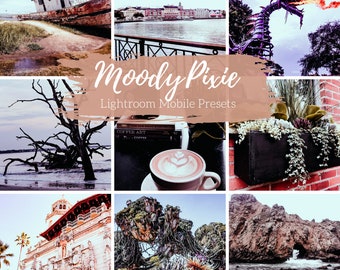 2 Mobile Lightroom Presets, Moody, Warm, Dark Halloween Lightroom Mobile Instagram Presets  Lifestyle presets Travel Photography Presets