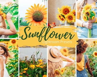 4 Mobile Lightroom Presets, Sunflower Sunshine Fall Lightroom Mobile Instagram Presets  Lifestyle presets Travel Photography Presets