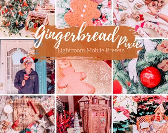 4 Mobile Lightroom Presets, Gingerbread Warm Maple Holiday Lightroom Mobile Instagram Presets  Lifestyle presets Travel Photography Presets