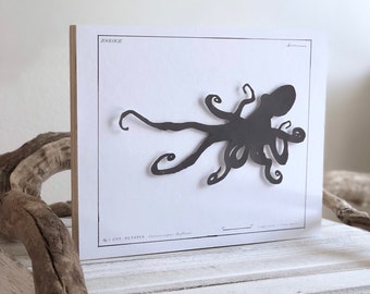 Giant Octopus