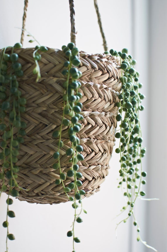 for Succulents Natural Seagrass Hanging Planter Air Plants and Small Cacti Handmade Indoor Flower Pot Holder