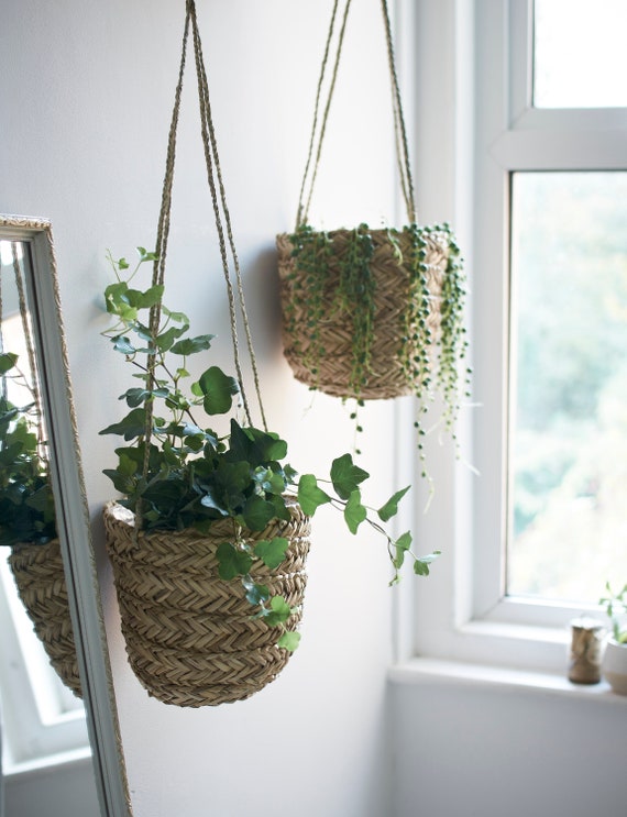 for Succulents Natural Seagrass Hanging Planter Air Plants and Small Cacti Handmade Indoor Flower Pot Holder