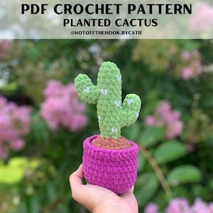 Haakpatroon | Cactus geplant | Cactuspatroon | Gehaakte cactus | Laag naaipatroon | Gehaakte planten | Haakpatroon planten
