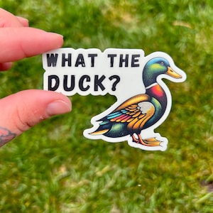 What The Duck? Sticker | Hilarious Duck Decal | Funny Duck Sticker | Hilarious Vinyl Decal | Sarcastic Sticker Funny Sticker Gift Adults
