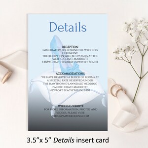 Carte d'insertion "DETAILS" de mariage modifiable, carte de détails de thème correspondant à la collection Cendrillon, téléchargement numérique, bricolage imprimable modifiable 17-dc
