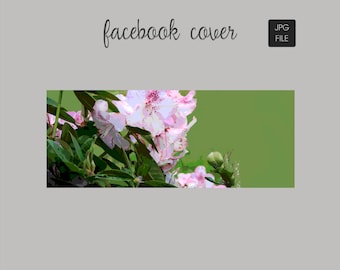 Imagen de portada de Facebook - Rhody Spring