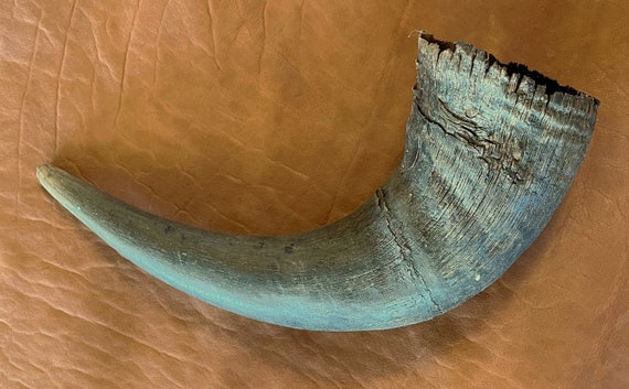 Bison american Buffalo Horn Cap - Etsy