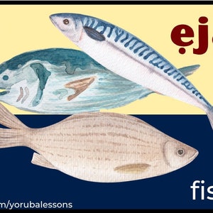 Yoruba Alphabet/Letters | Flash Cards for Learning and Games | Digital Download