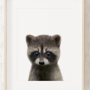 Baby Raccoon Print, Woodland Nursery Decor, Printable Baby Animal Wall Art, Kids Room Decor, DIGITAL DOWNLOAD image 2