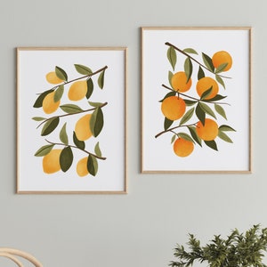 Citrus Botanical Prints Set of 2, Lemon Print, Botanical Citrus Wall Art, Farmhouse Kitchen Decor, Orange Branch